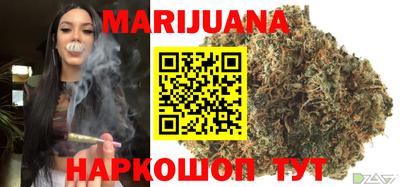 ешки Бийск