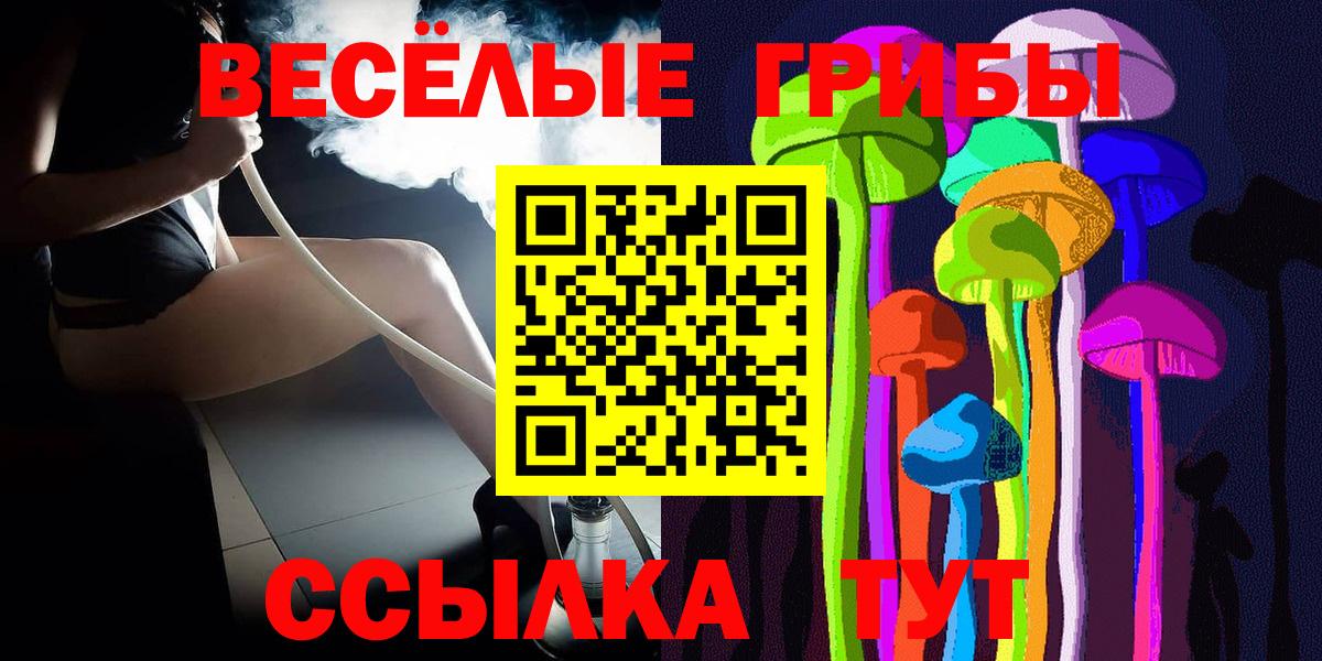 Галлюциногенные грибы Psilocybine cubensis Керчь