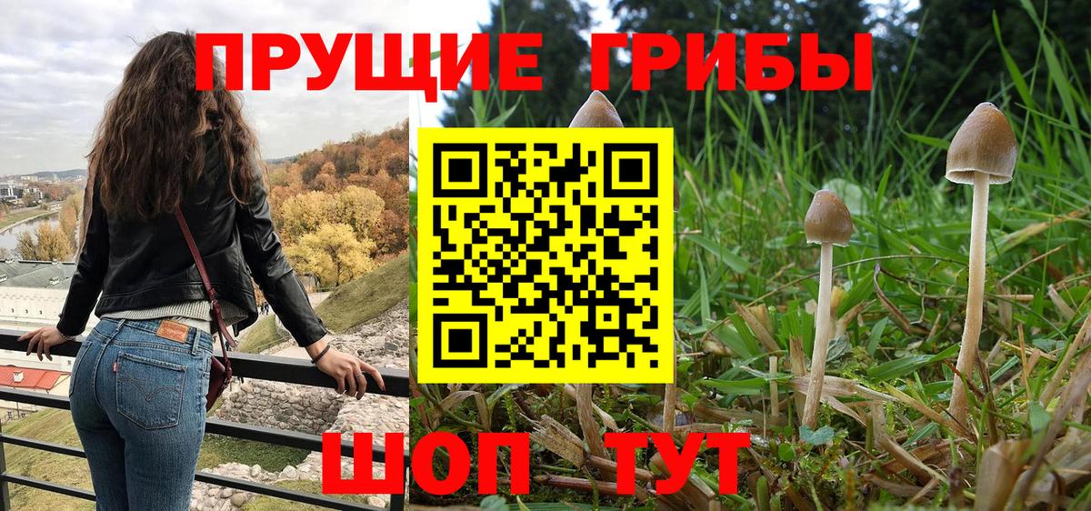 Галлюциногенные грибы мухоморы  Псилоцибиновые грибы Magic Shrooms  Керчь  Вход с VPN 