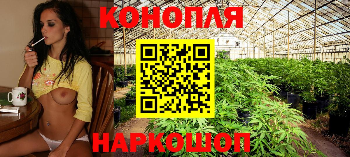 Конопля планчик  Бошки Шишки LSD WEED  Вход с VPN  Канабис VHQ  Керчь 